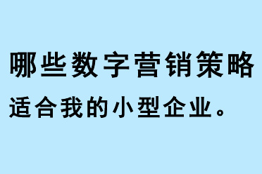 哪些數(shù)字營銷策略適合我的小型企業(yè)？
