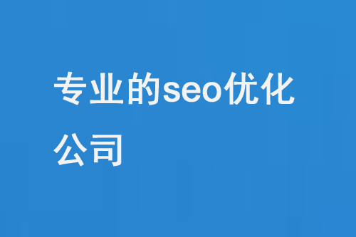 專業(yè)的seo優(yōu)化公司